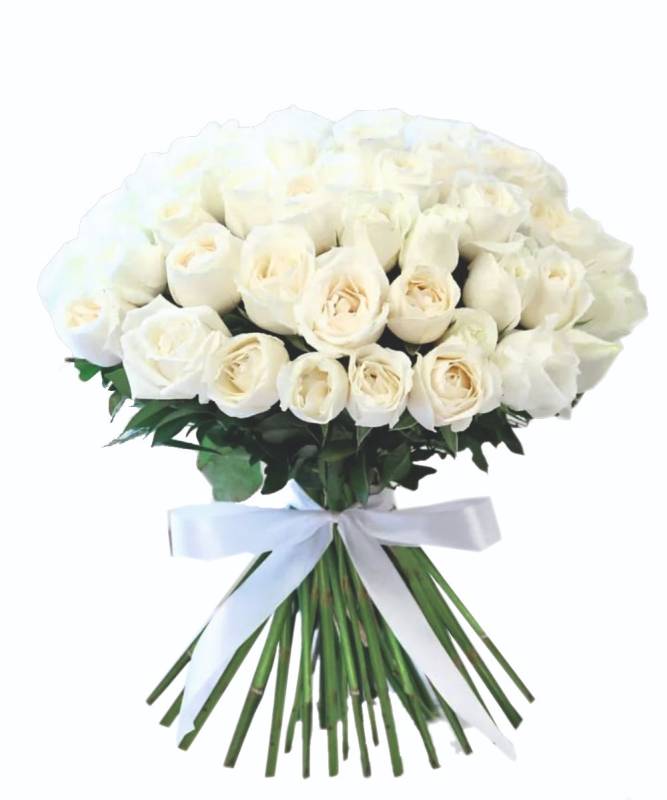 Garden of White Roses