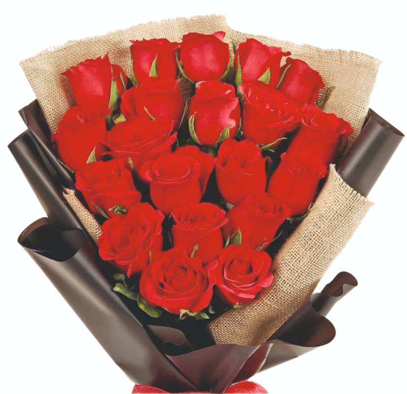 Whispering Petals of Red Roses