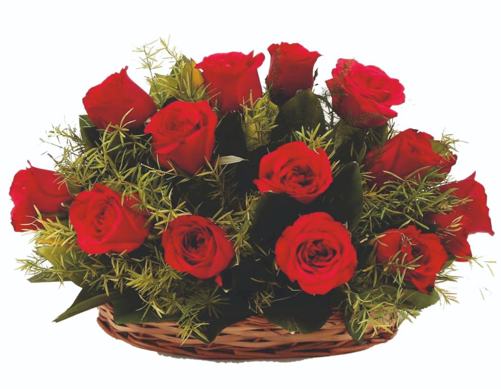 15 Red Roses Arrangement