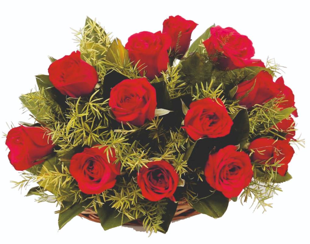 15 Red Roses Arrangement