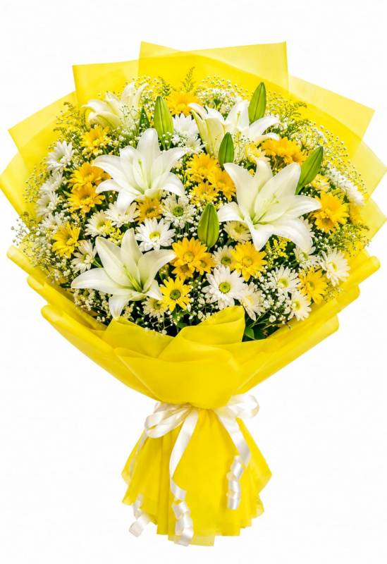 White yellow Daisy with Lily