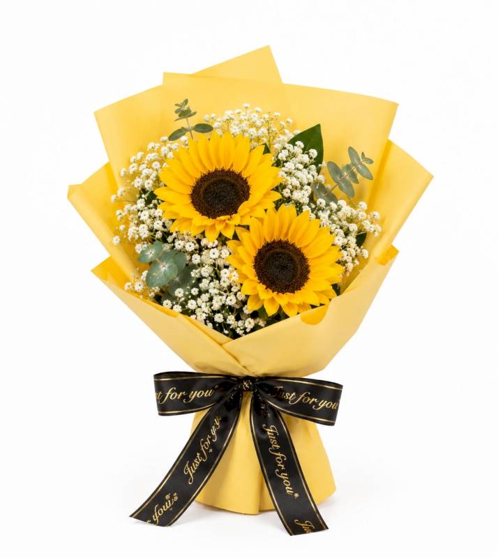 Sunflower with gypso 