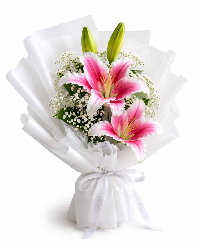 Blush lily whisper 