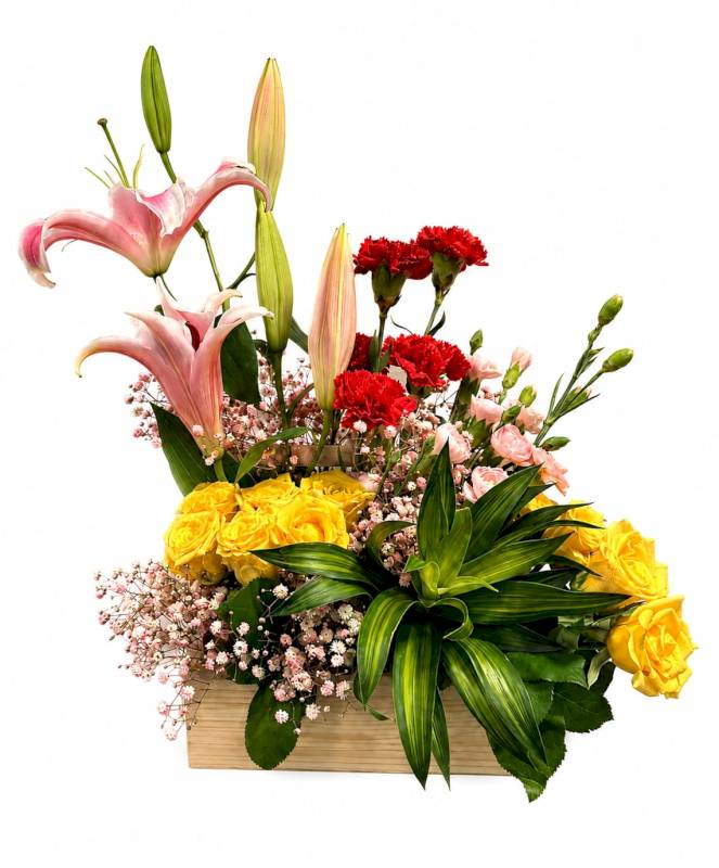 Royal bloom harmony