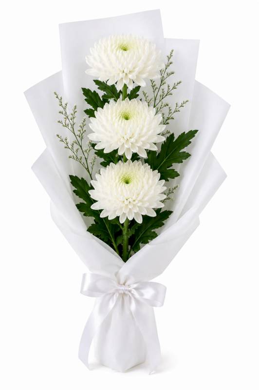 Pure Grace Chrysanthemums